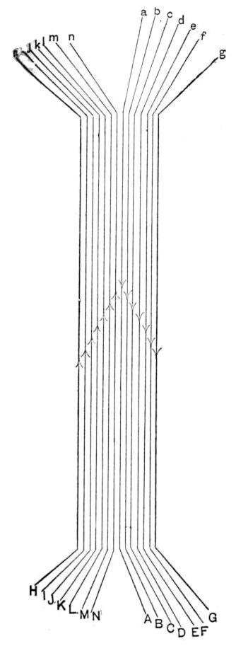 Fig. 2 from Dr. Pupin's "On Polyphasal Generators" lecture