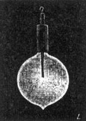 Unipolar Lamp
