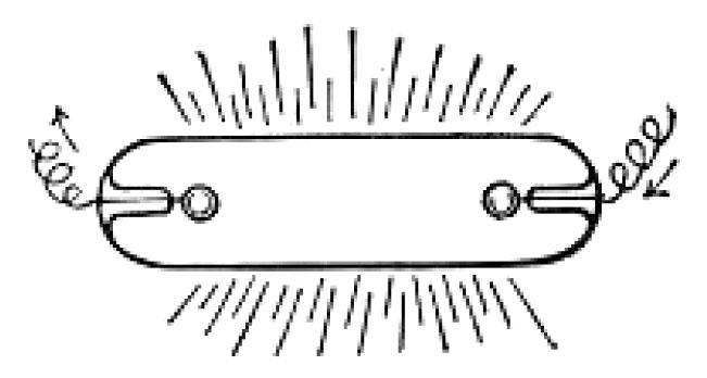 Geisseler Tube, with Electrodes Inside the Glass