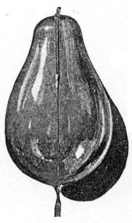 Tesla bulb used in high-frequency experiments