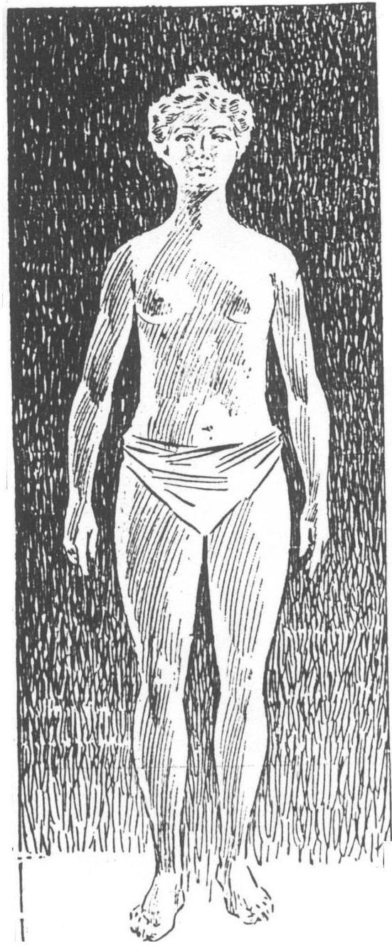 A perfect woman's proportions