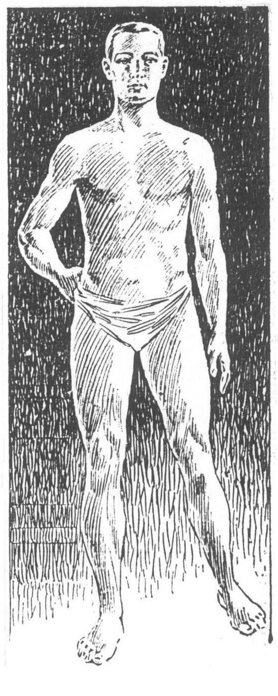 A perfect man's proportions