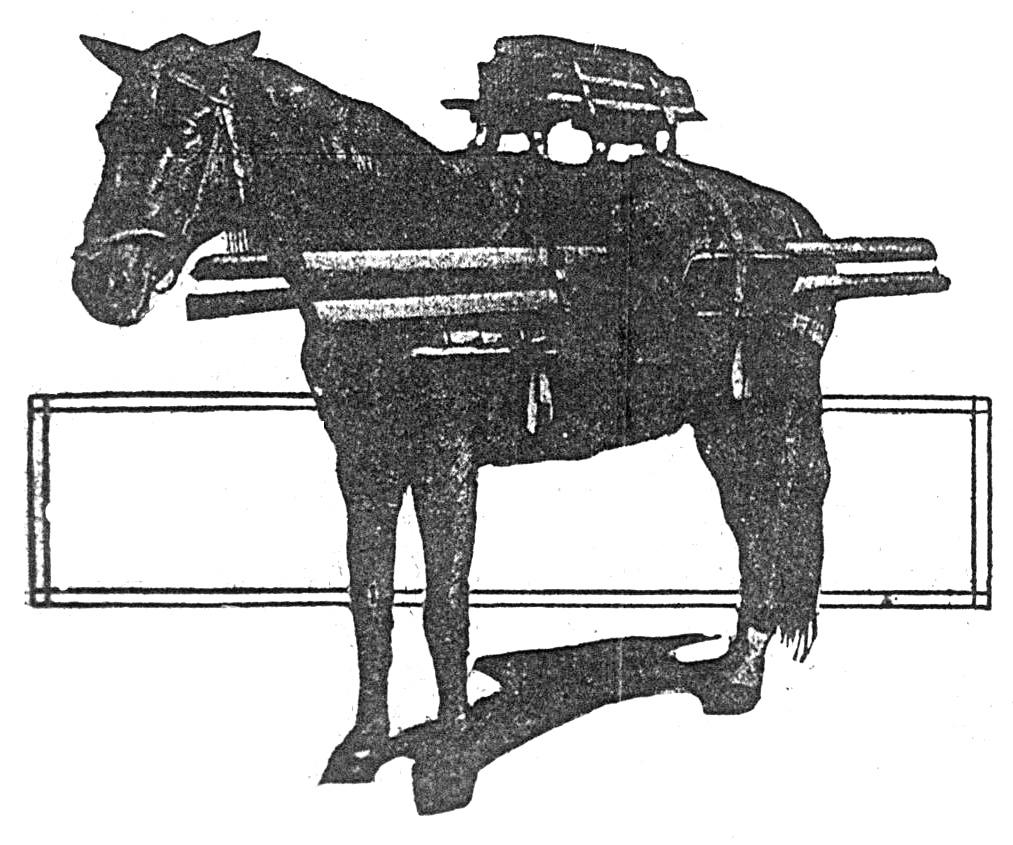 Military wireless equipment on packhorse