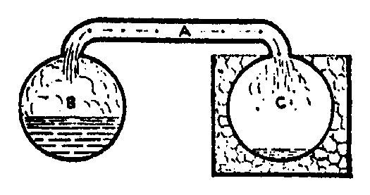 The “cryophorus,” a well-known scientific toy