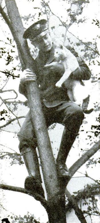 Telegraph boy rescuing cat from high limb of tree