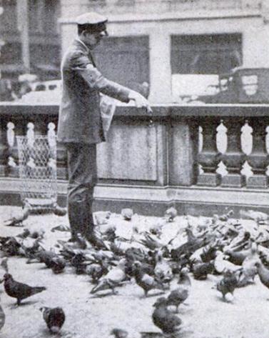 Telegraph boy feeding pigeons for Nikola Tesla at the New York Public Library