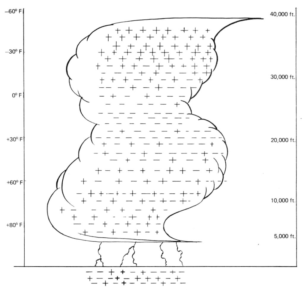 Diagram showing charge of a thunderhead cloud