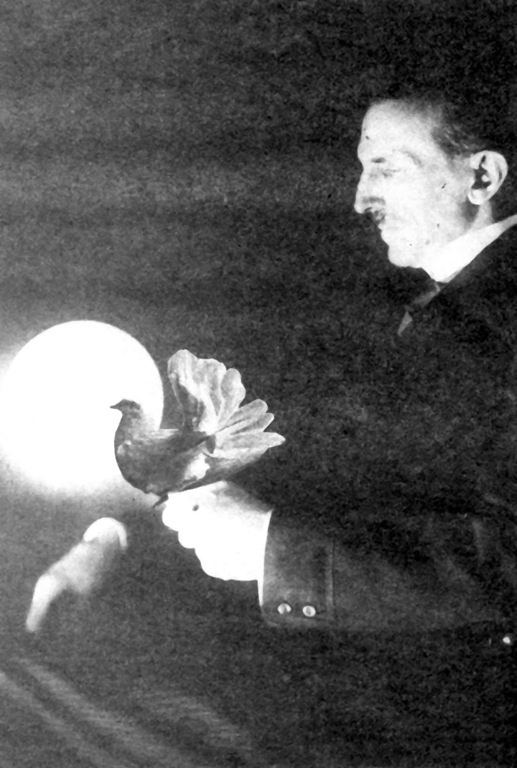 Famous picture of Tesla holding bulb with superimposed bird