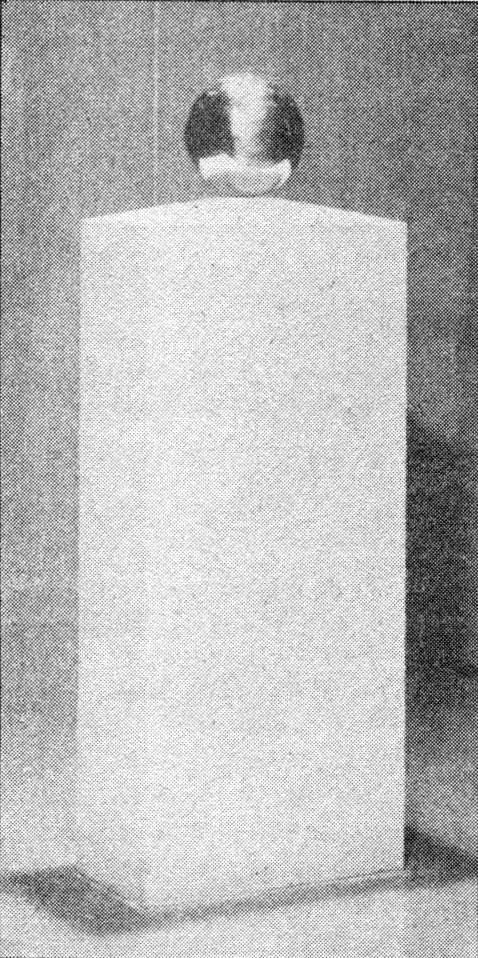 Tesla's urn in the Museum