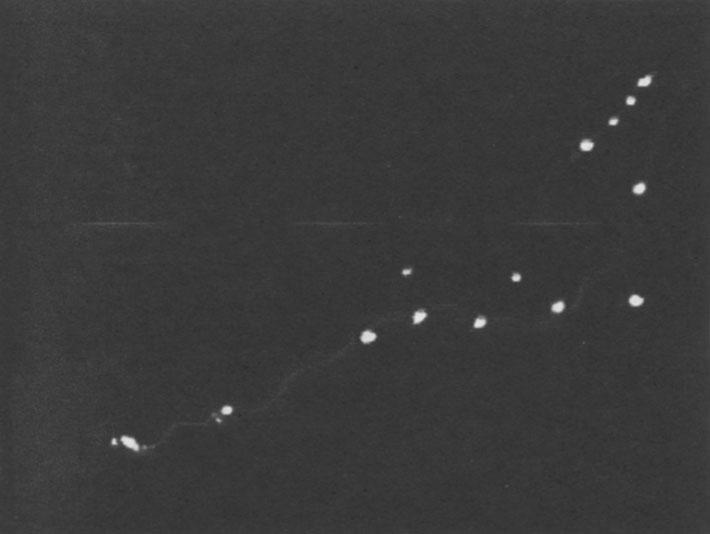 Corum's experiment photo showing multiple fireballs forming on a single streamer