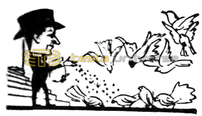 Illustration of Nikola Tesla Feeding Pigeons