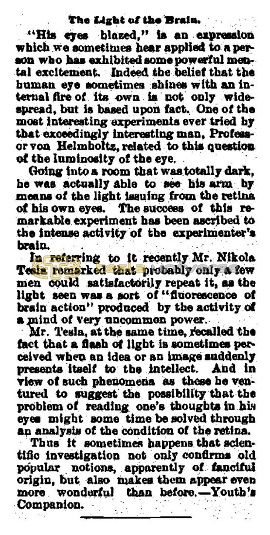 Preview of The Light of the Brain article