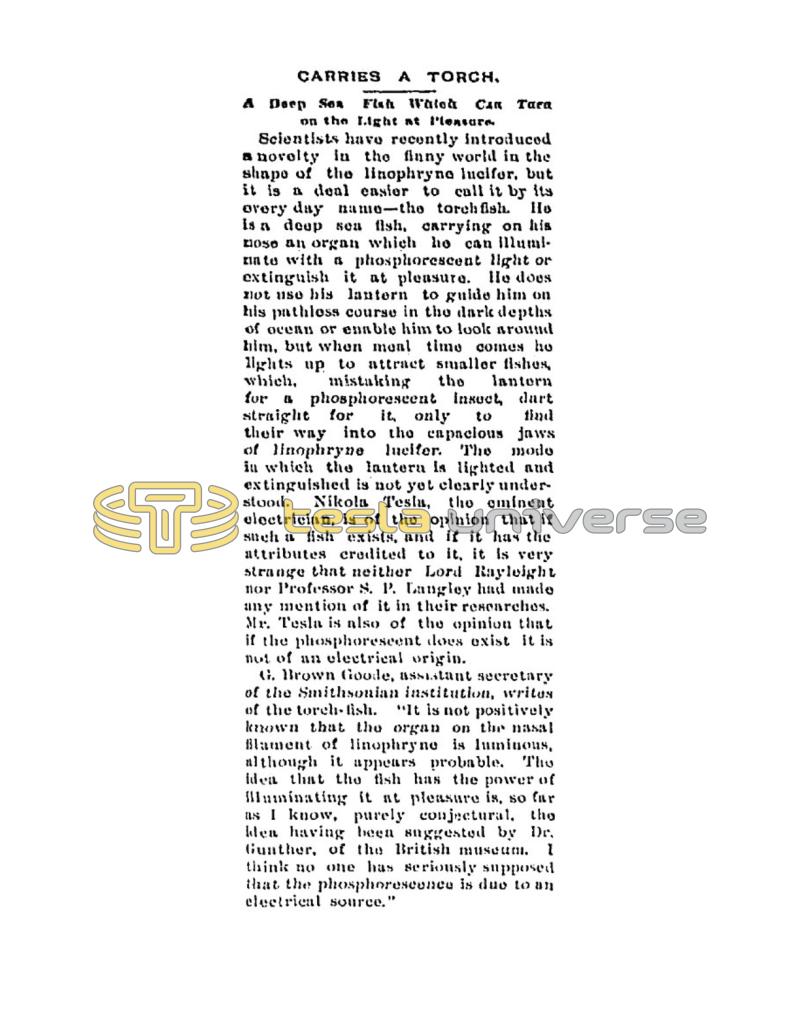 Preview of Carries a Torch article