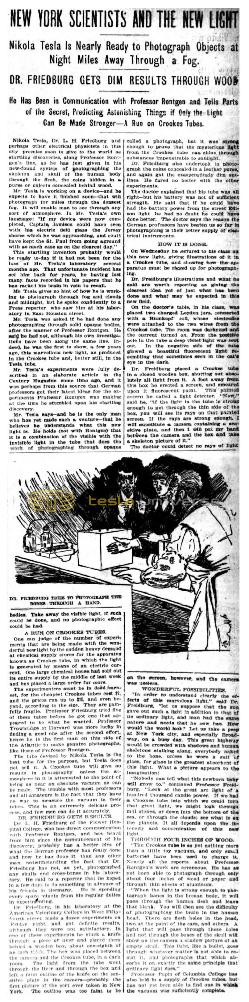 Preview of New York Scientists and the New Light article