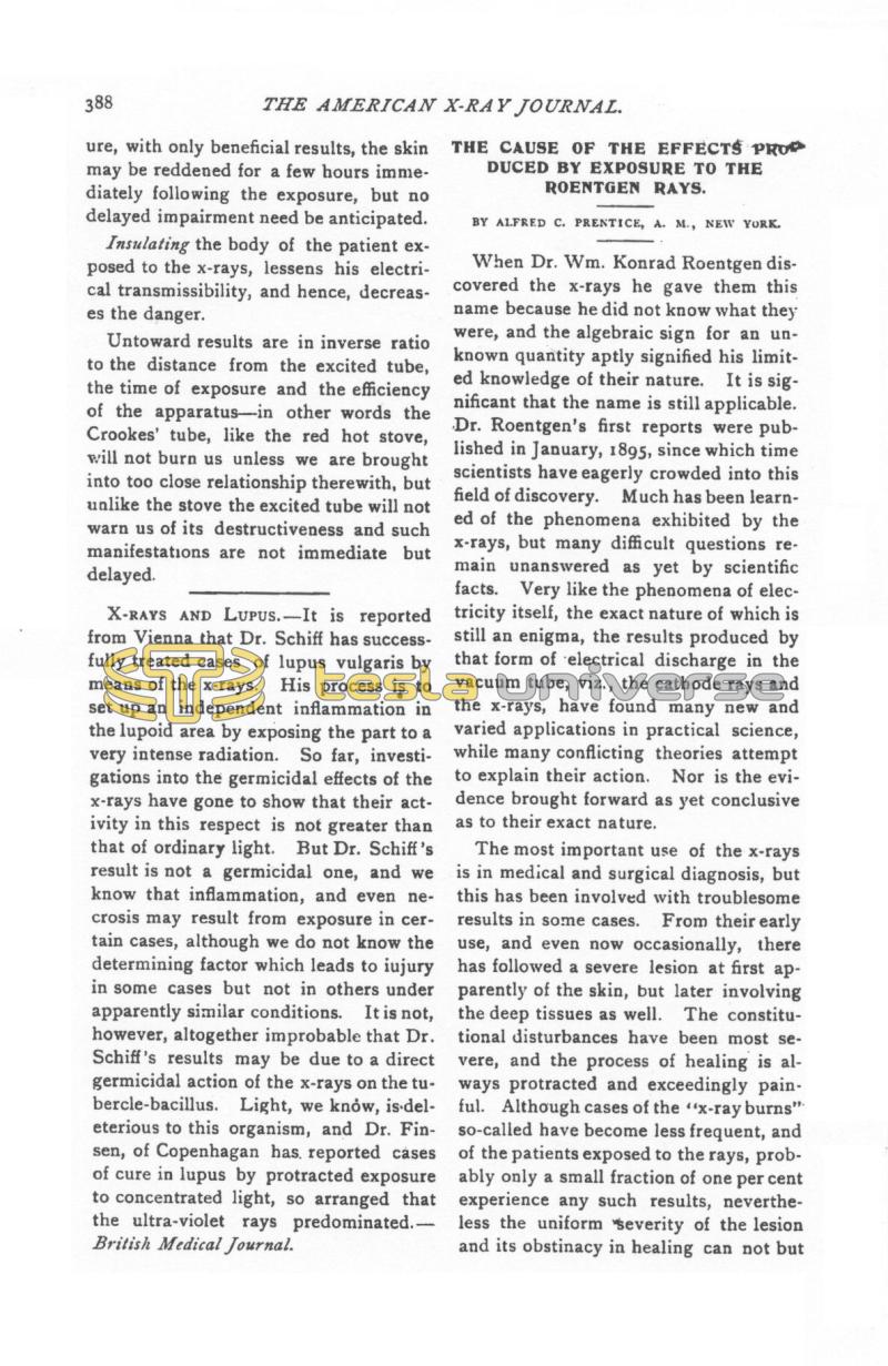 Injurious Effects of the Roentgen Rays - Page 3