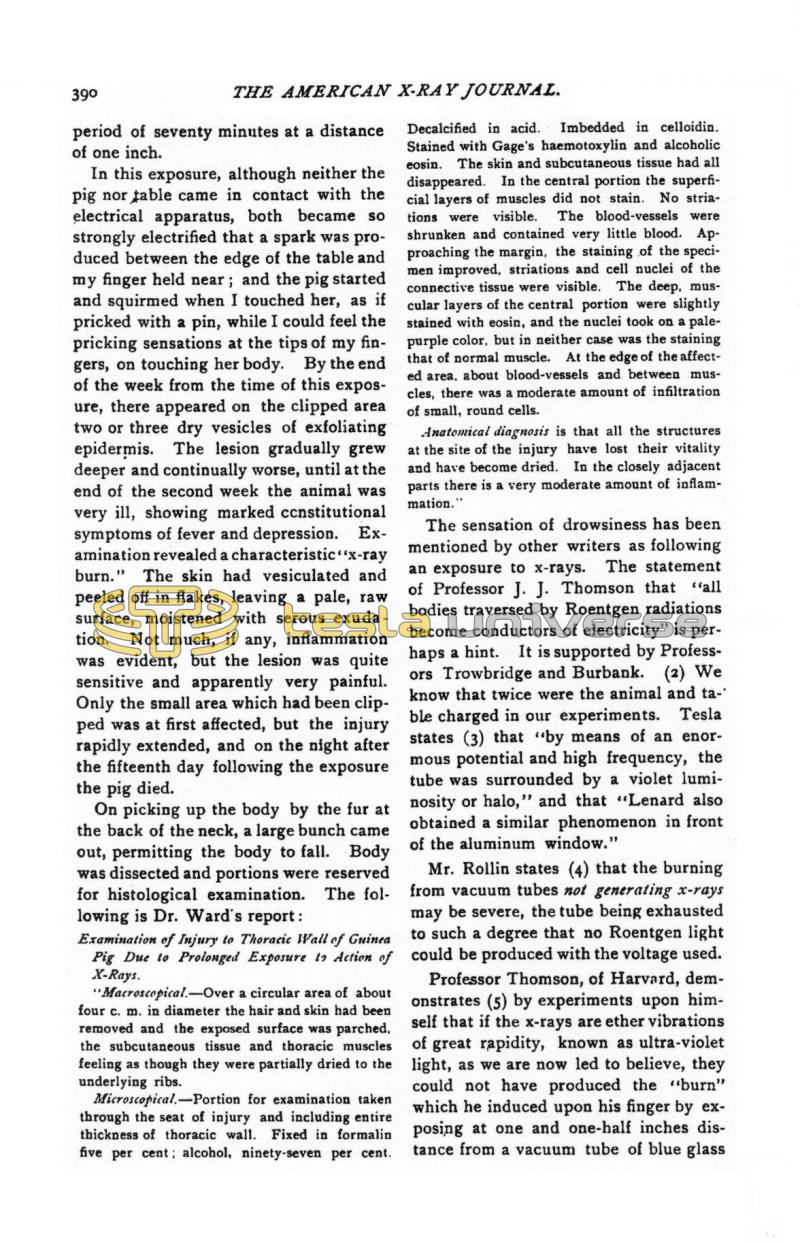 Injurious Effects of the Roentgen Rays - Page 5