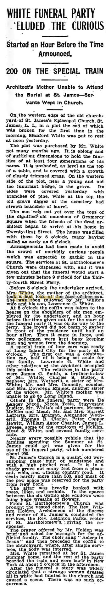 Preview of White Funeral Party Eluded the Curious  article