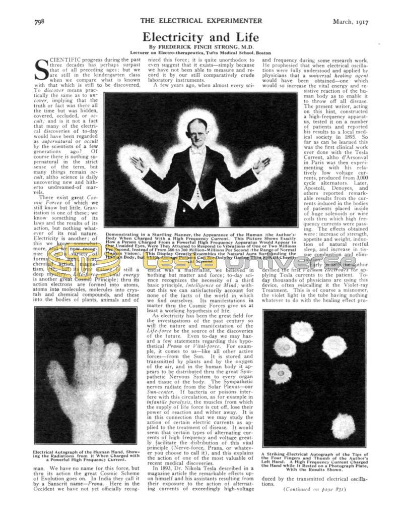 Preview of Electricity and Life - Part 1 article