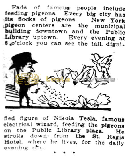 Preview of Tesla's Daily Evening Rite article
