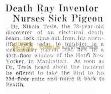 Preview of Death Ray Inventor Nurses Sick Pigeon article