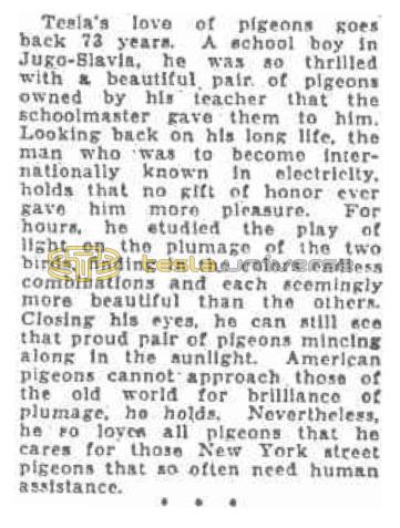 Preview of Tesla's Love of Pigeons article