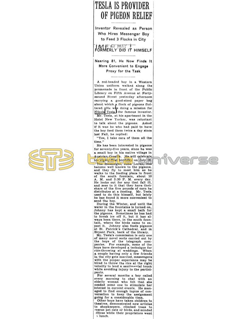 Preview of Tesla Is Provider Of Pigeon Relief article