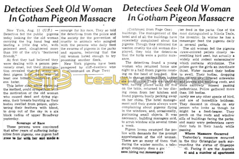 Preview of Detectives Seek Old Woman in Gotham Pigeon Massacre article