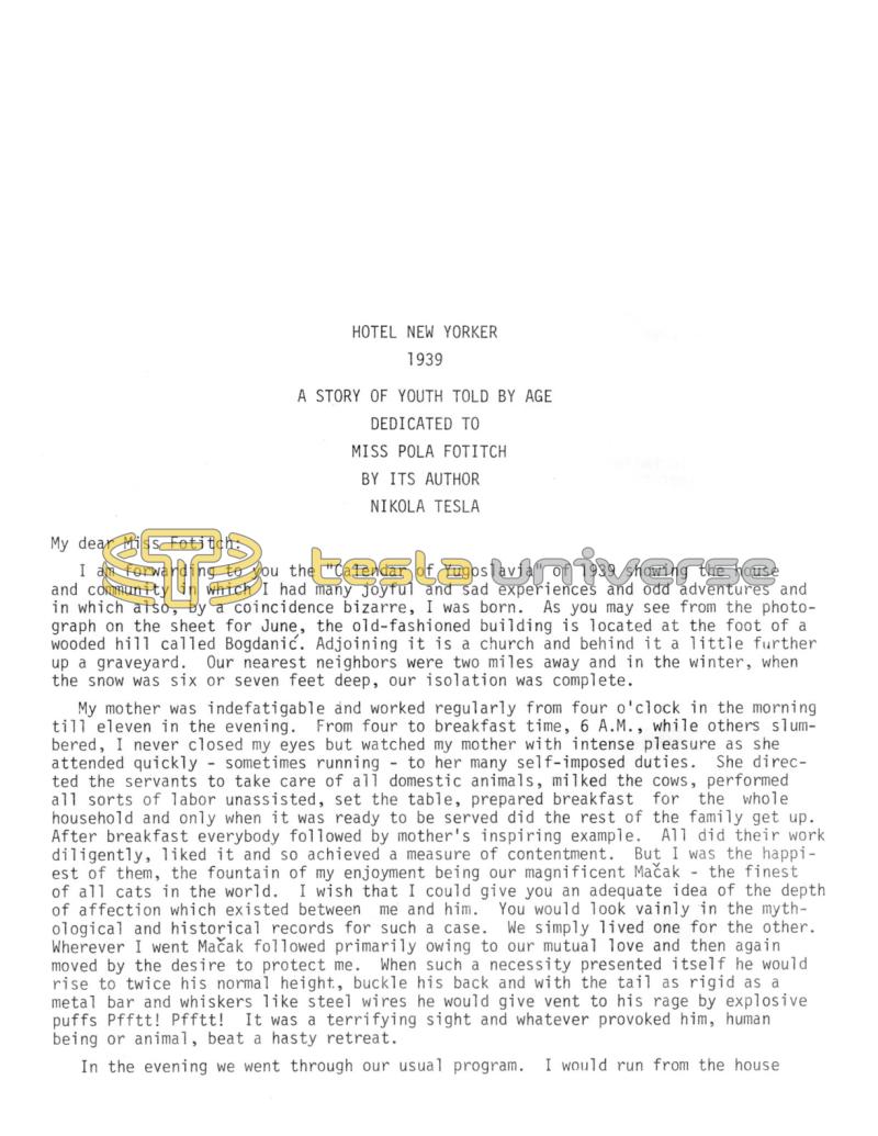 Preview of A Story of Youth Told by Age article