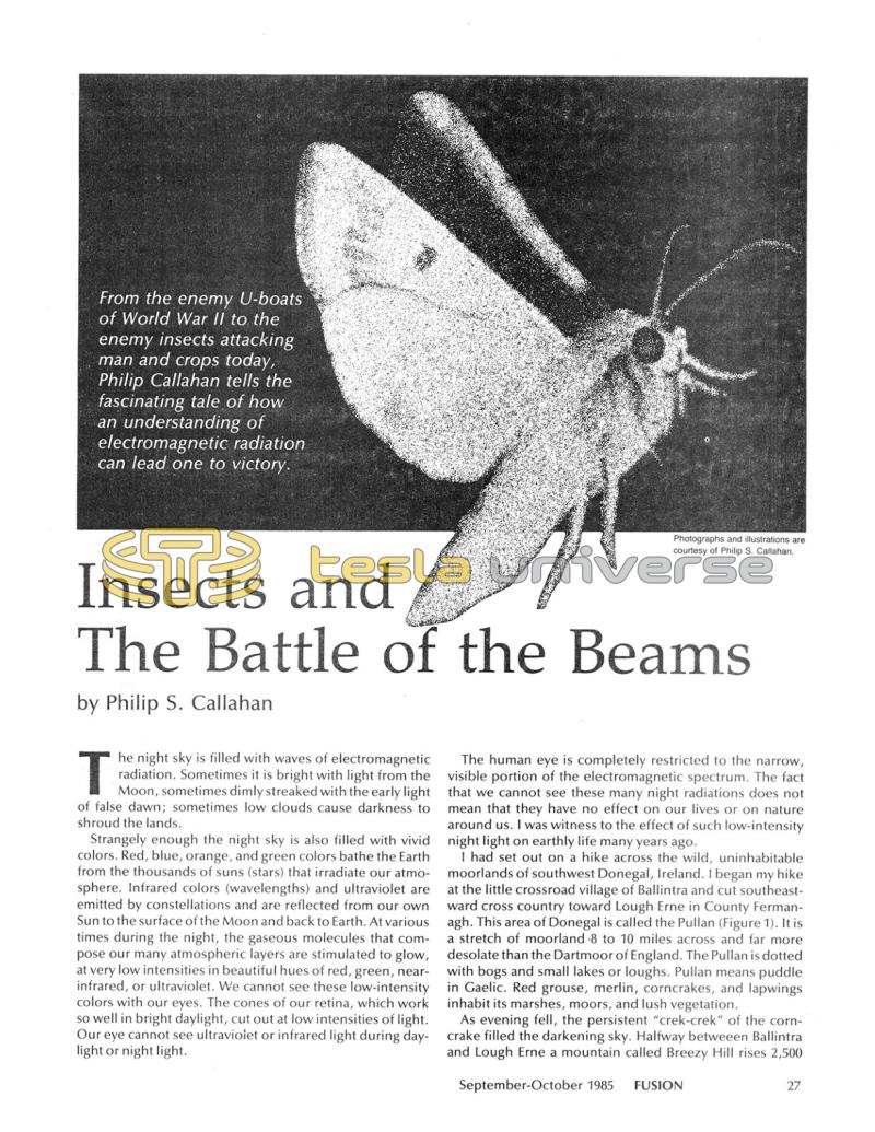Preview of Insects and The Battle of the Beams article