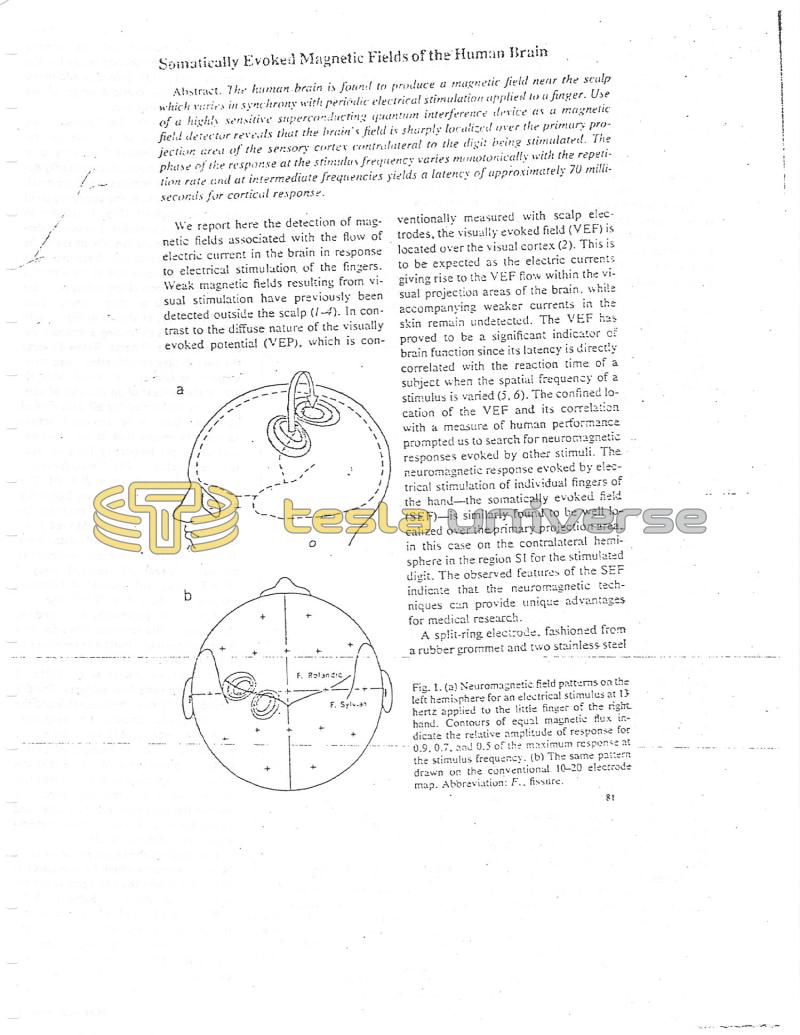 The Application of Tesla's Technology in Today's World - Page 17