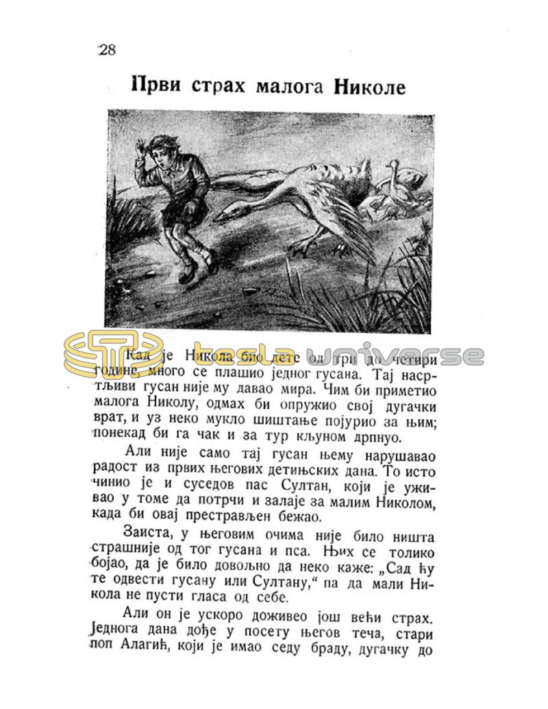 Nikola Tesla - Pictures and Experiences from Childhood and Education - Page 28