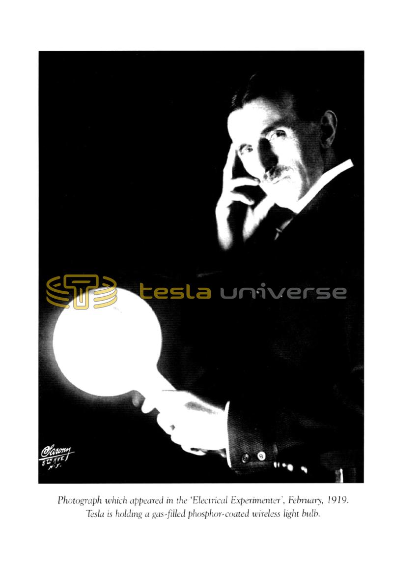 In Search of Nikola Tesla - Page 12