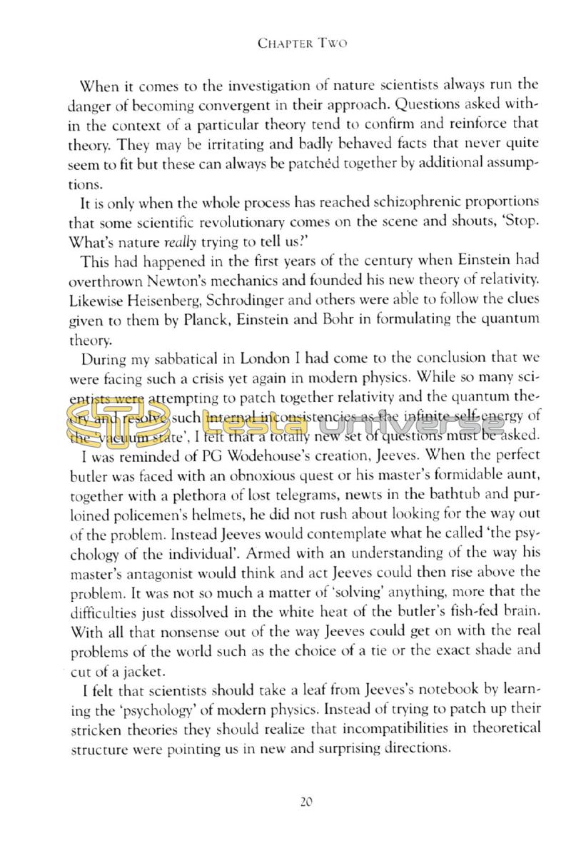 In Search of Nikola Tesla - Page 20