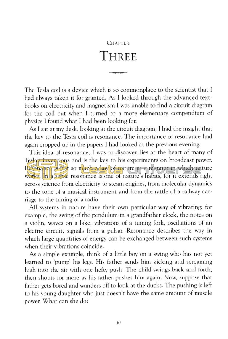 In Search of Nikola Tesla - Page 30
