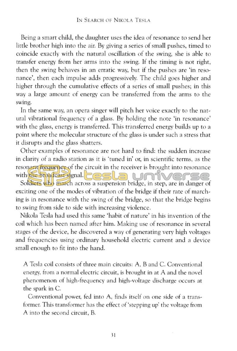 In Search of Nikola Tesla - Page 31