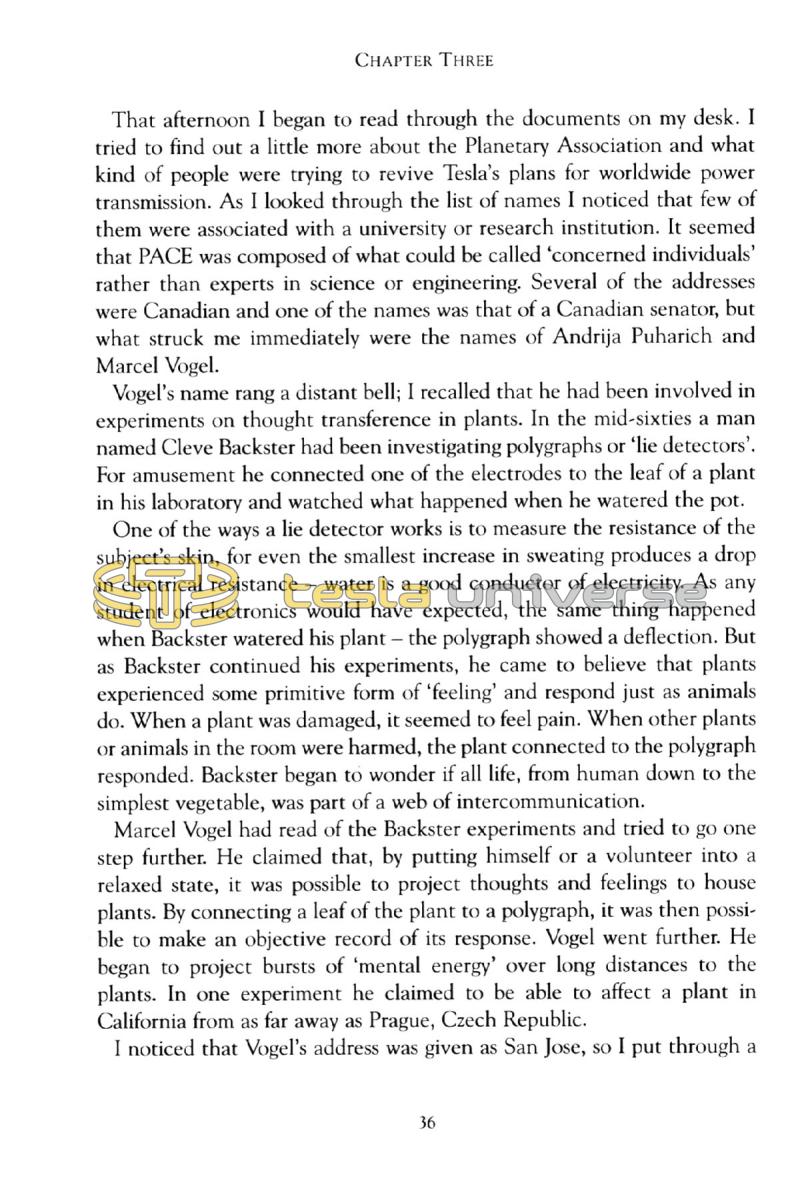 In Search of Nikola Tesla - Page 36