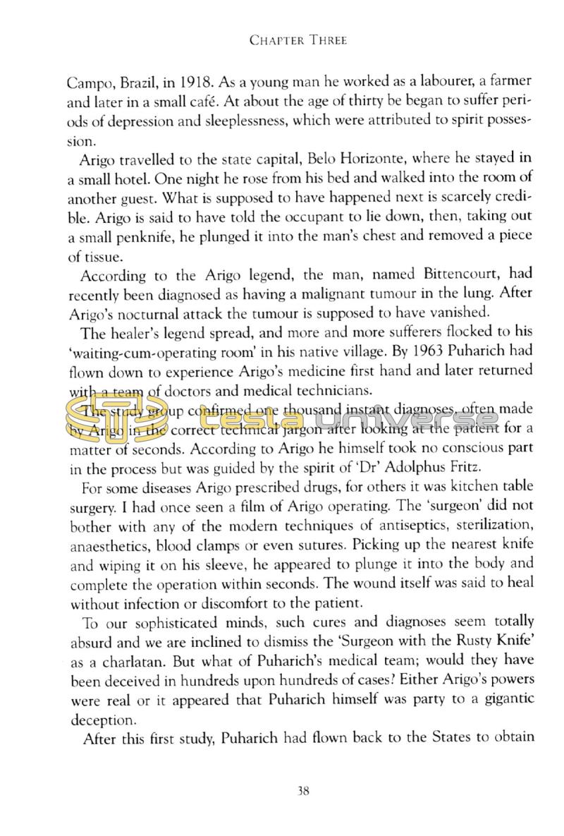 In Search of Nikola Tesla - Page 38