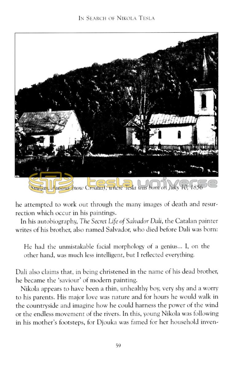 In Search of Nikola Tesla - Page 59
