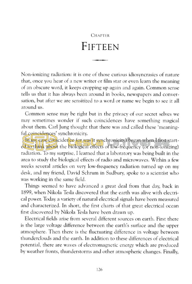 In Search of Nikola Tesla - Page 126