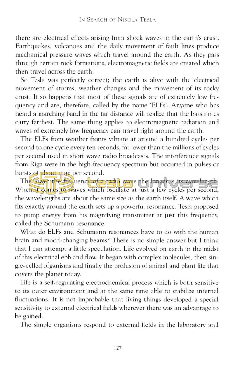 In Search of Nikola Tesla - Page 127