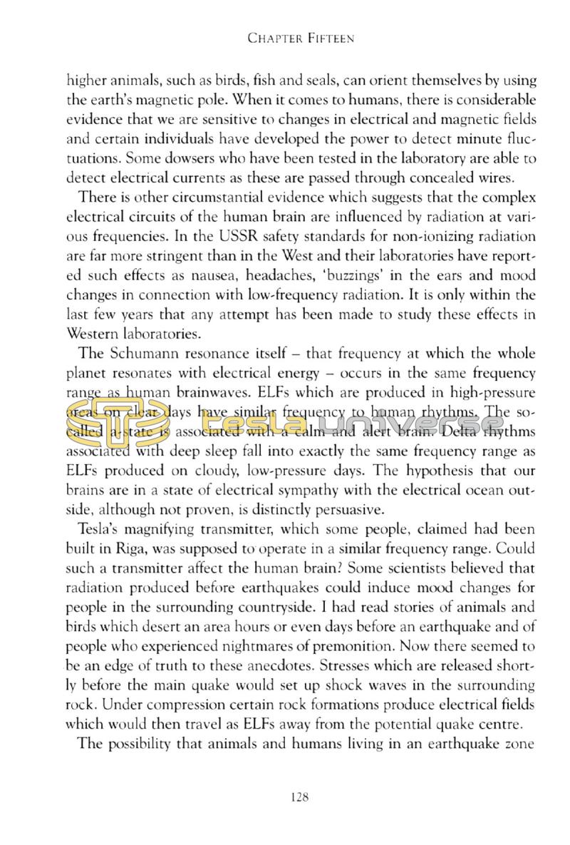 In Search of Nikola Tesla - Page 128