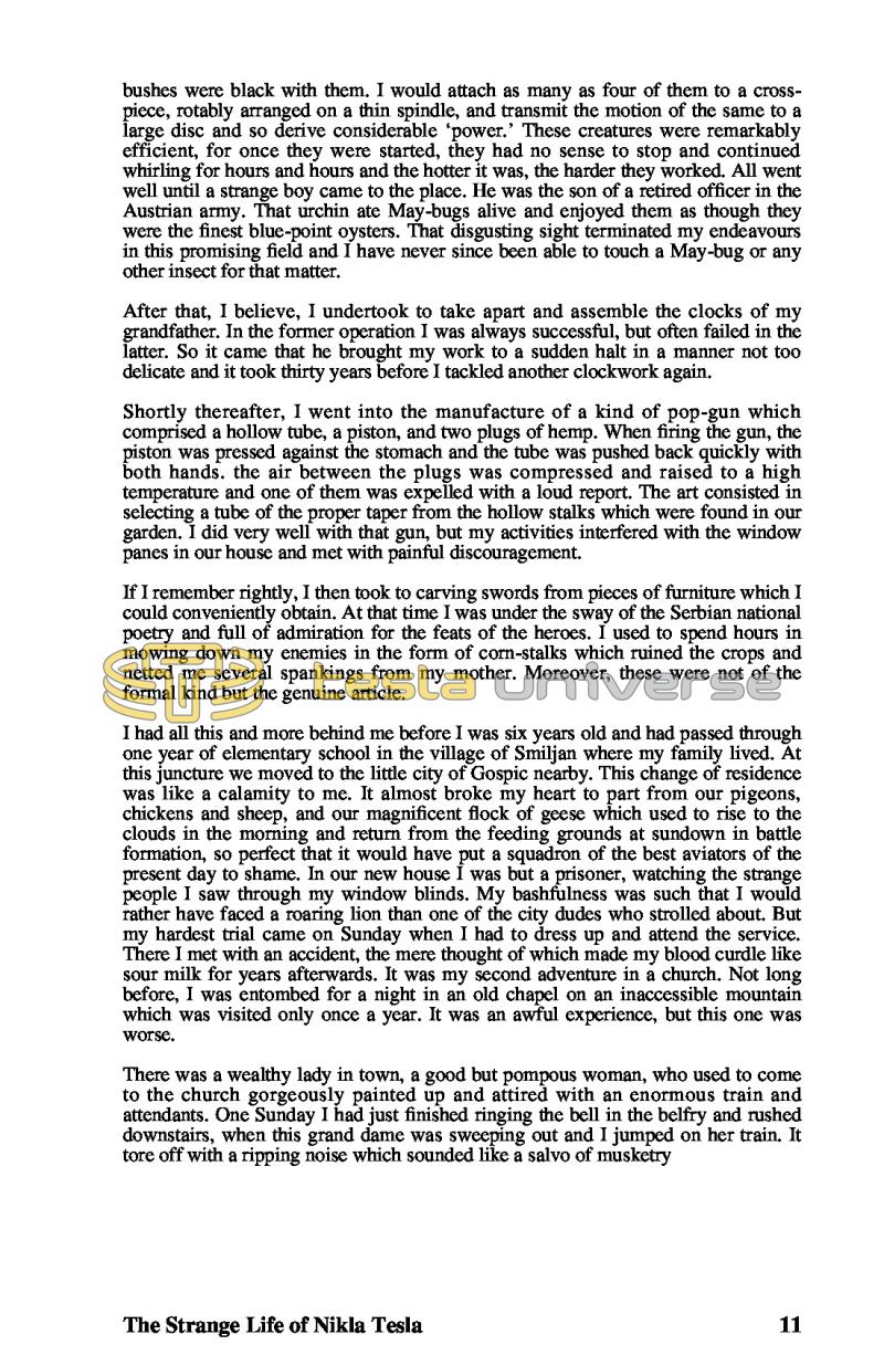 The Strange Life of Nikola Tesla - Page 11