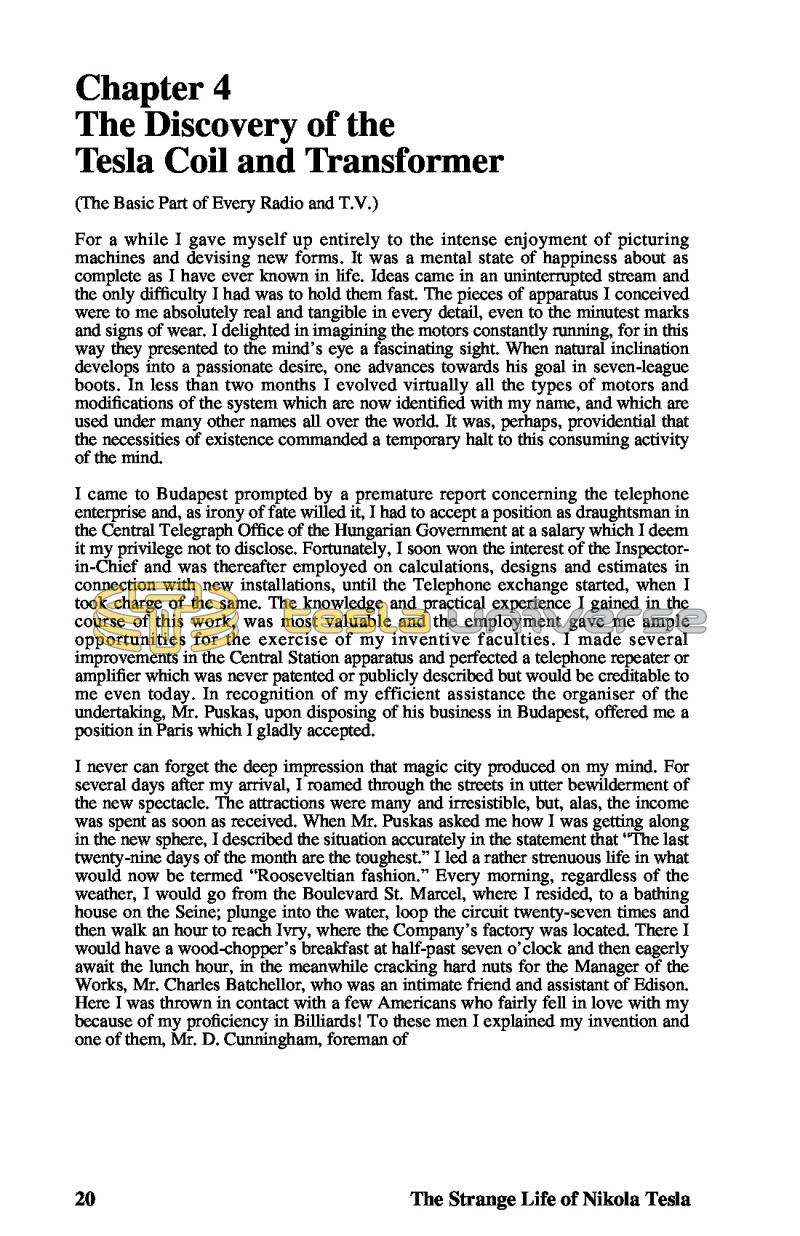 The Strange Life of Nikola Tesla - Page 20