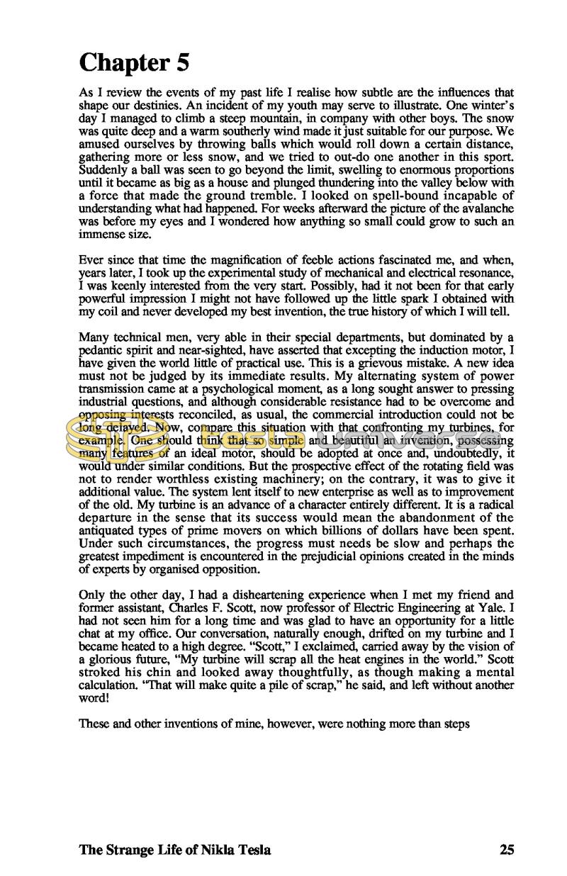 The Strange Life of Nikola Tesla - Page 25