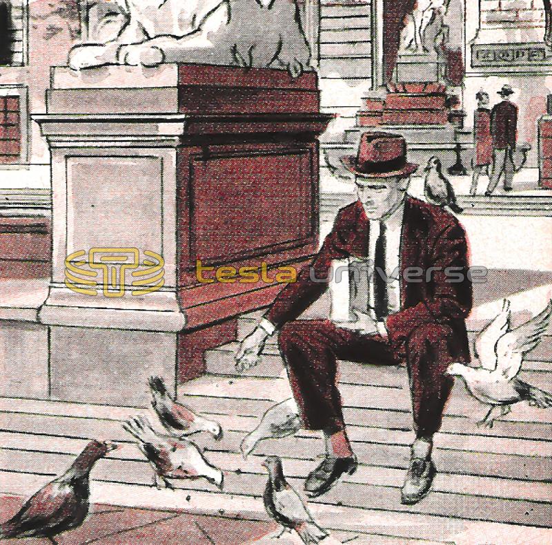 Illustration of Nikola Tesla feeding pigeons outside the library in New York City