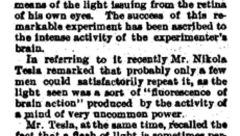 Preview of The Light of the Brain article