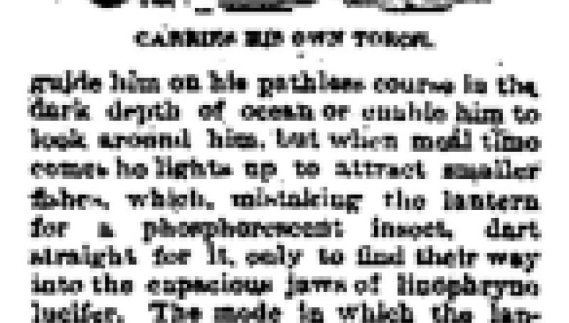 Preview of Carries a Torch article
