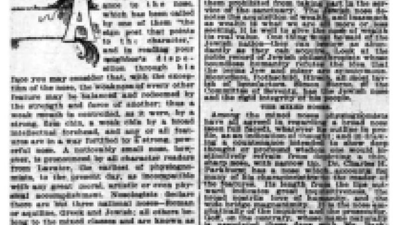 Preview of Some Famous Noses article
