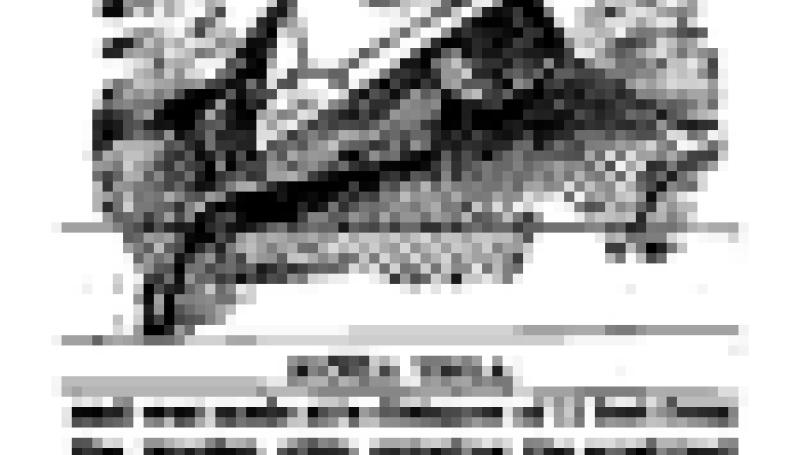 Preview of Wonders of the X-Ray (reprint 4) article