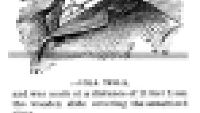 Preview of Wonders of the X-Ray article